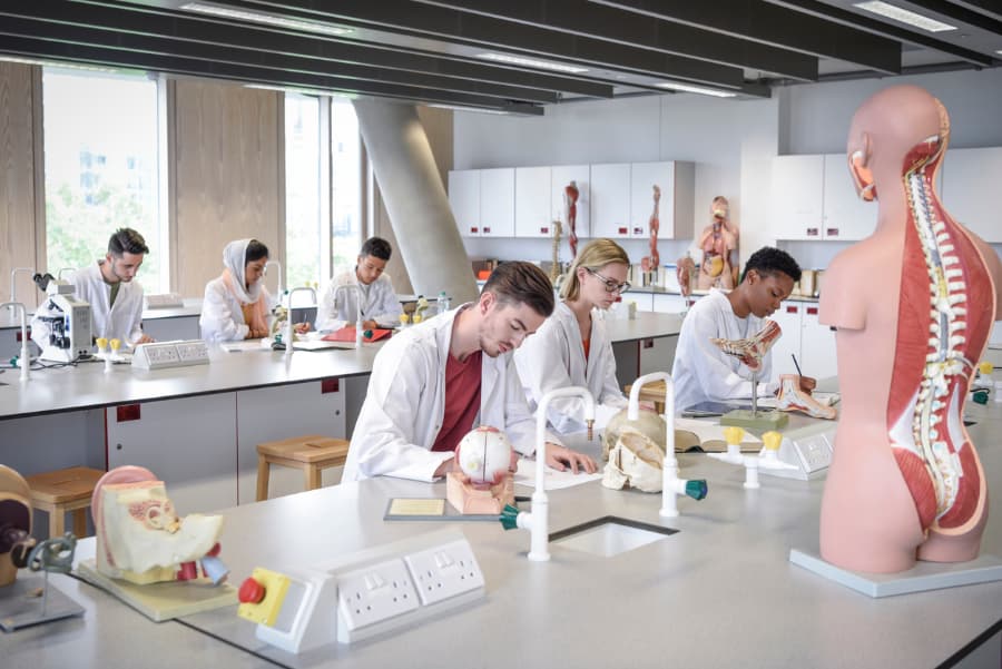 bachelors-of-arts-vs-bachelors-of-science