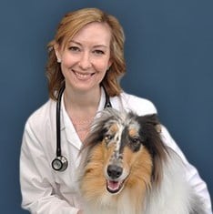 Owner of Blue Ridge Animal Clinic follows dream after Faulkner
