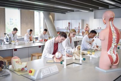 Students in white lab coats studying biology with models