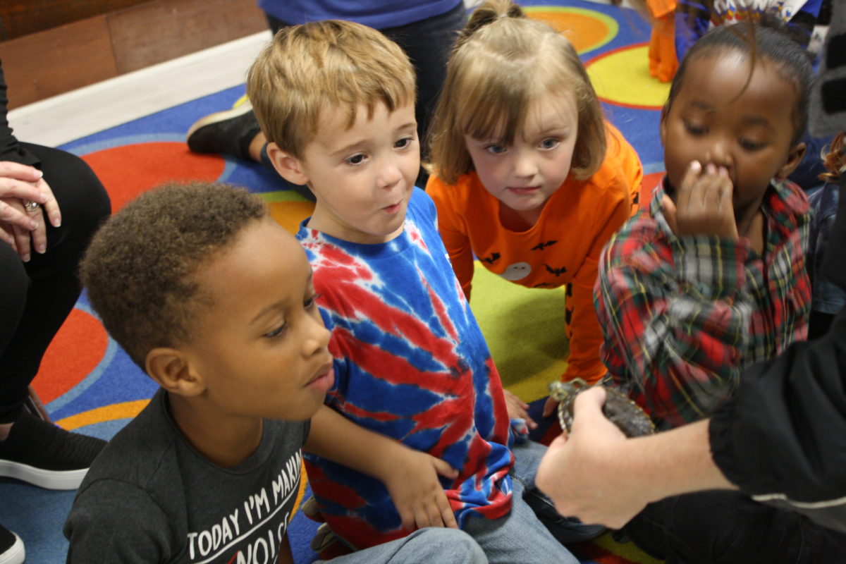 Pre-K students look at a turtle.