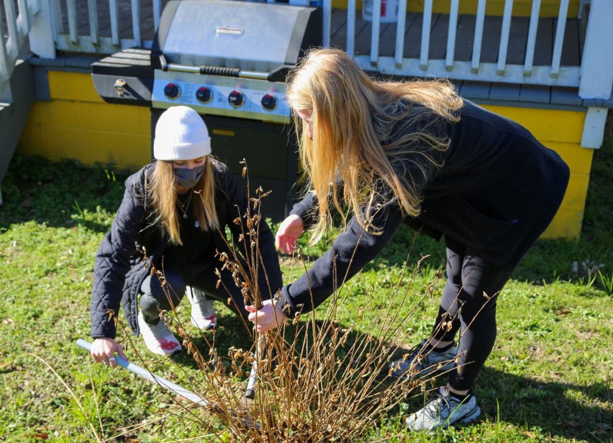 Two female Faulkner students help landscape at one of Mercy House's neighborhood homes on MLK Day, January 18, 2021.