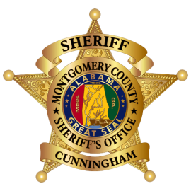 Sheriff Badge 